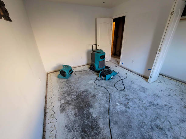 Best Ceiling water damage repair  in Langley, WA