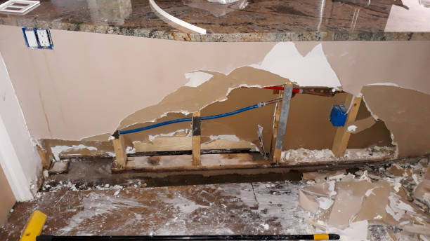  Langley, WA Water damage restoration Pros