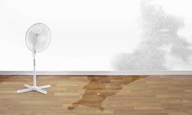 Best Basement water damage restoration  in Langley, WA